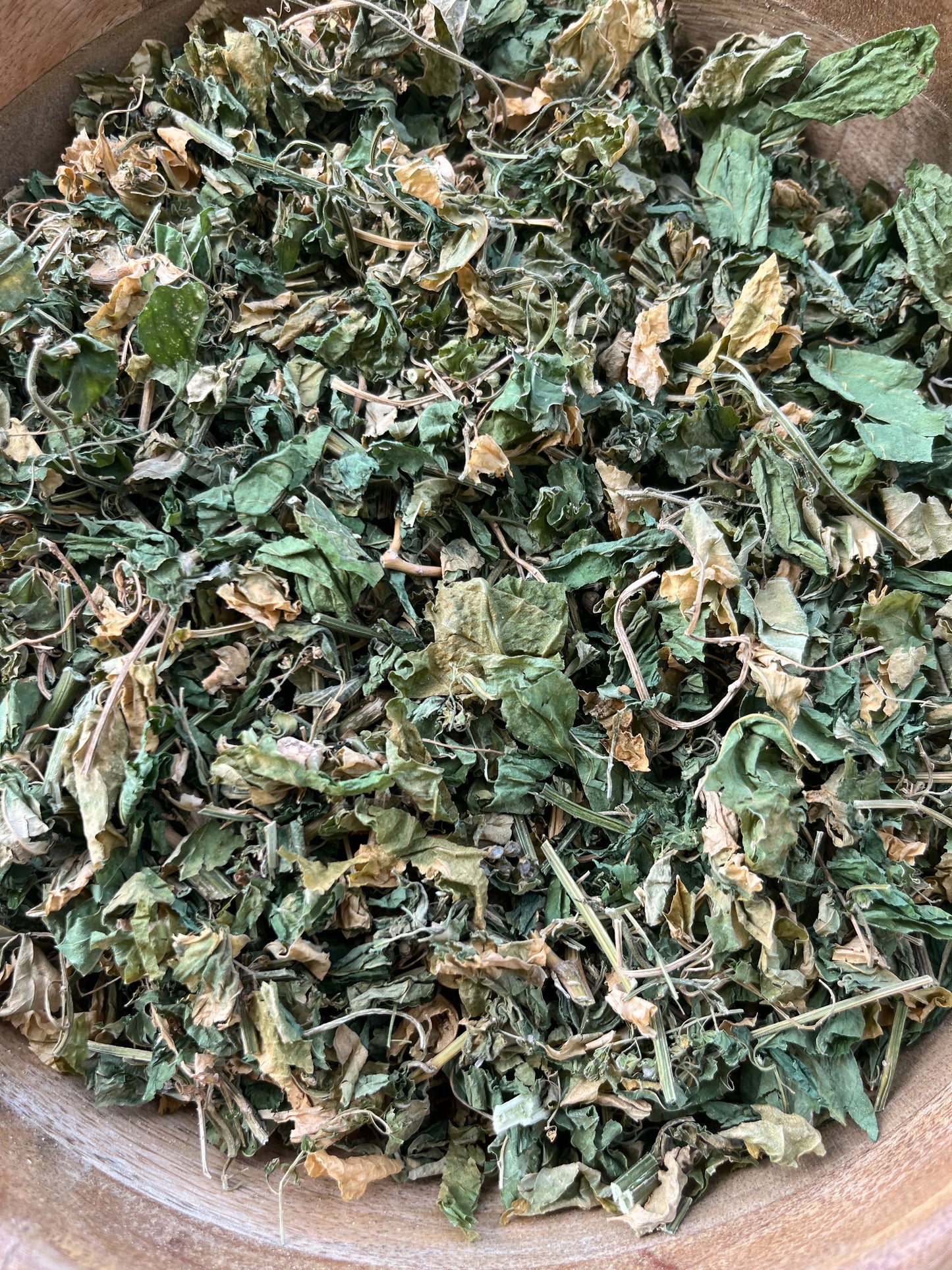 JAMAICAN DOG BLOOD Rivina Humilis FERTILITY HERB