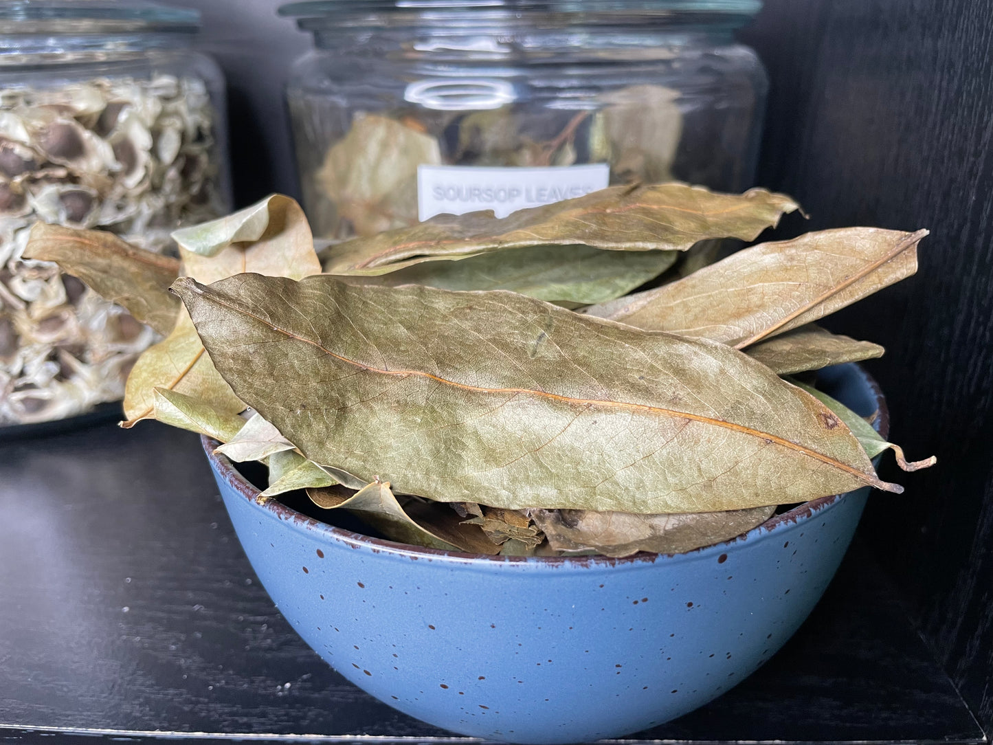 JAMAICA SOURSOP LEAVES (Organic)