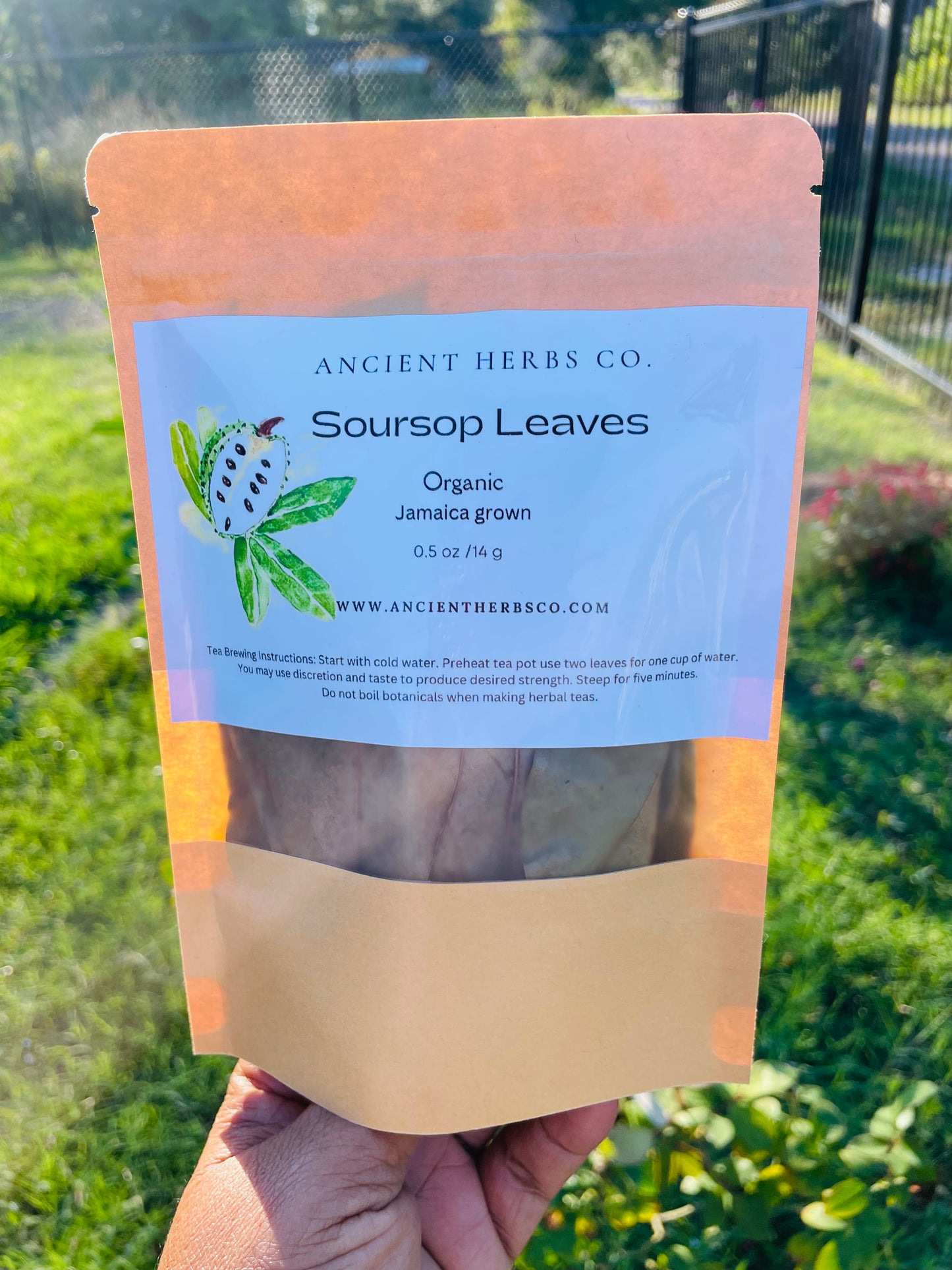 JAMAICA SOURSOP LEAVES (Organic)