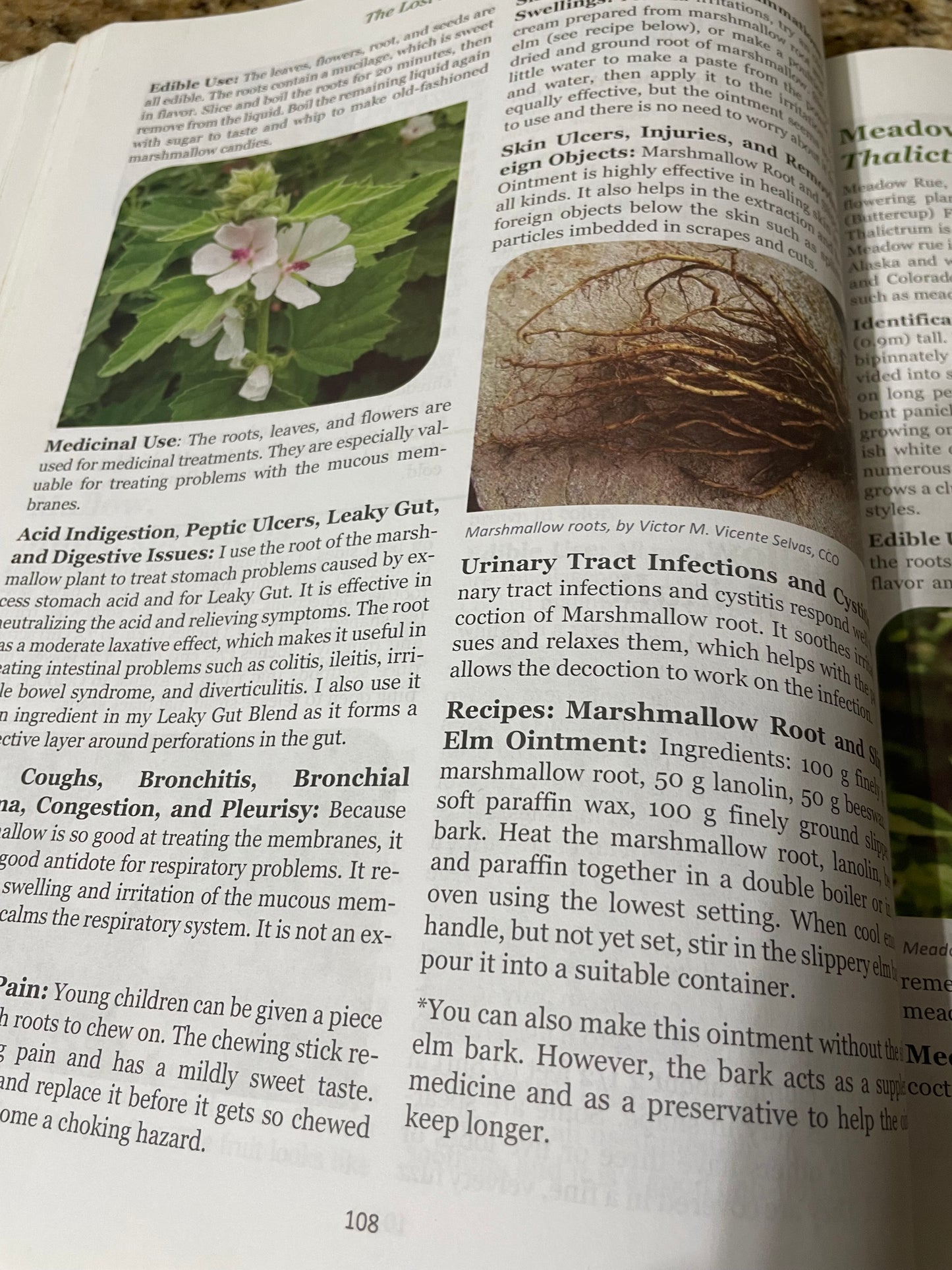 USDA Organic Marshmallow root