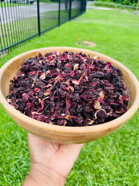 JAMAICA Grown SORREL