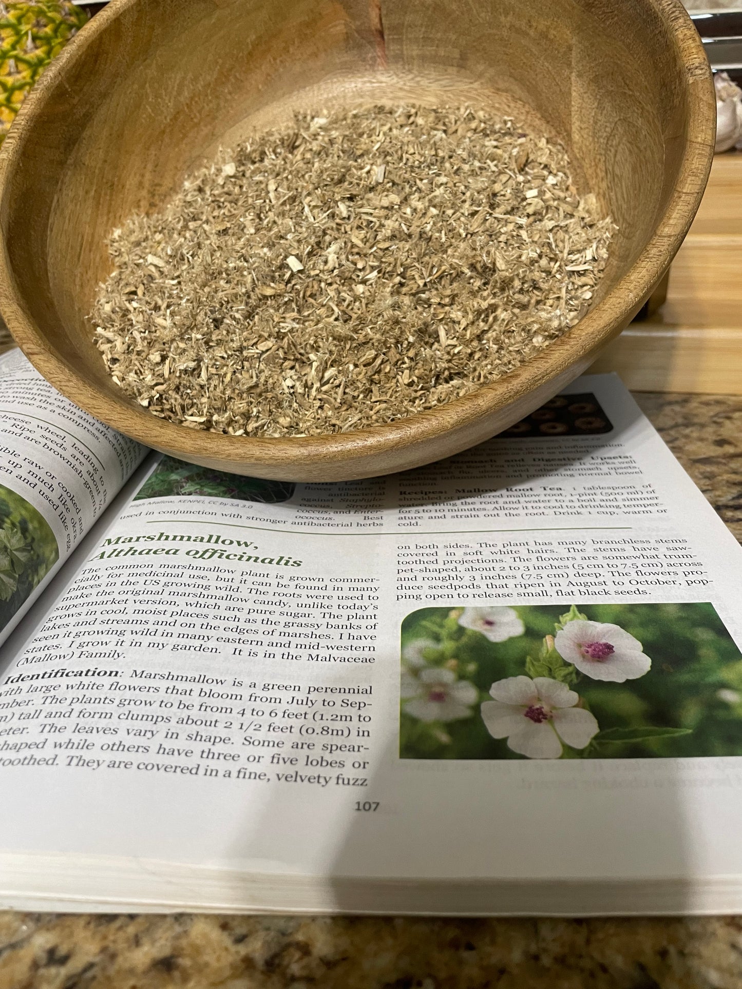 USDA Organic Marshmallow root