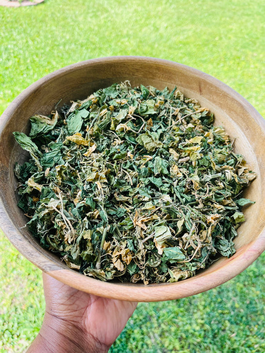 JAMAICAN DOG BLOOD Rivina Humilis  FERTILITY HERB