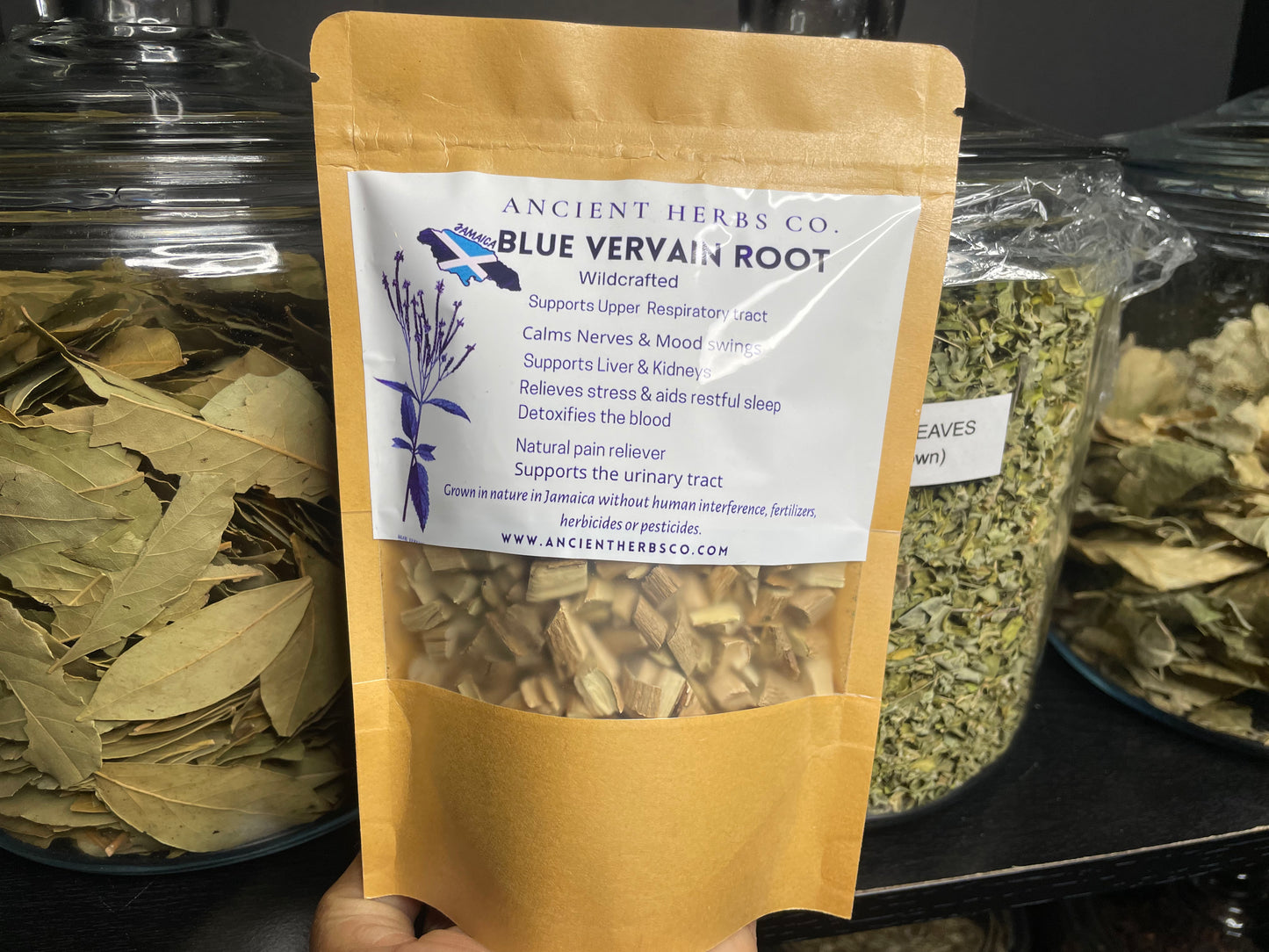 JAMAICAN BLUE VERVAIN ROOT