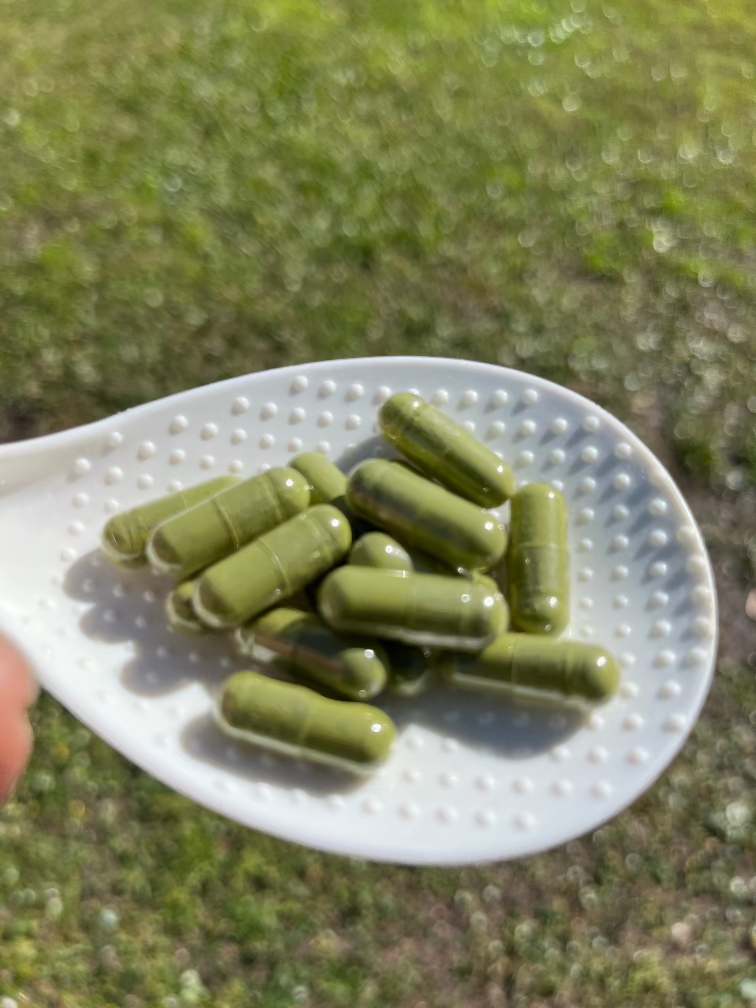 Wildcrafted Cerasee capsules 80