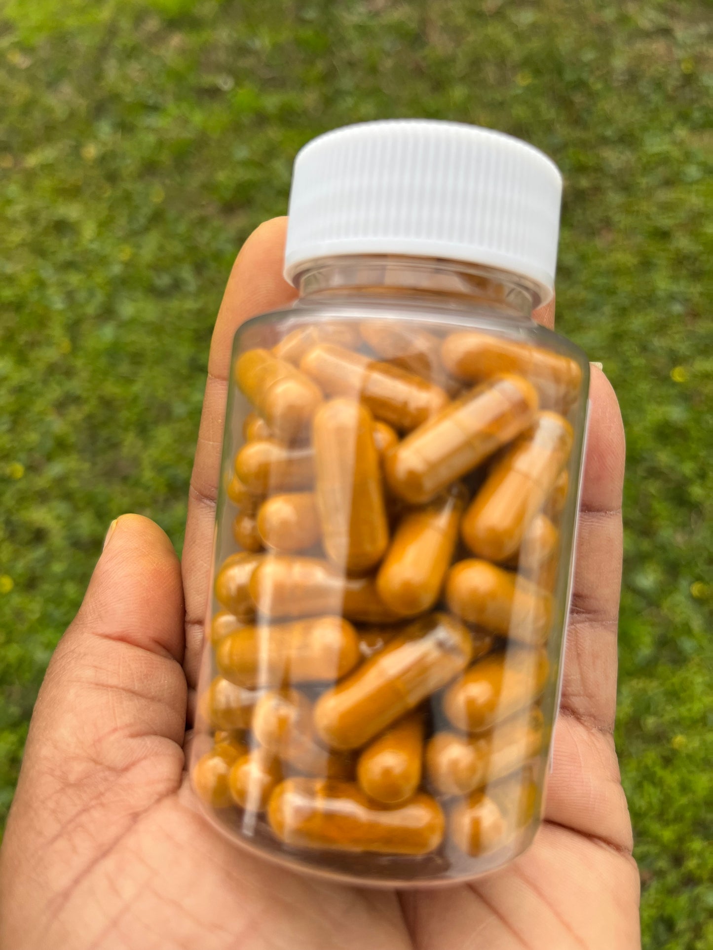 Organic Turmeric root capsules (80)