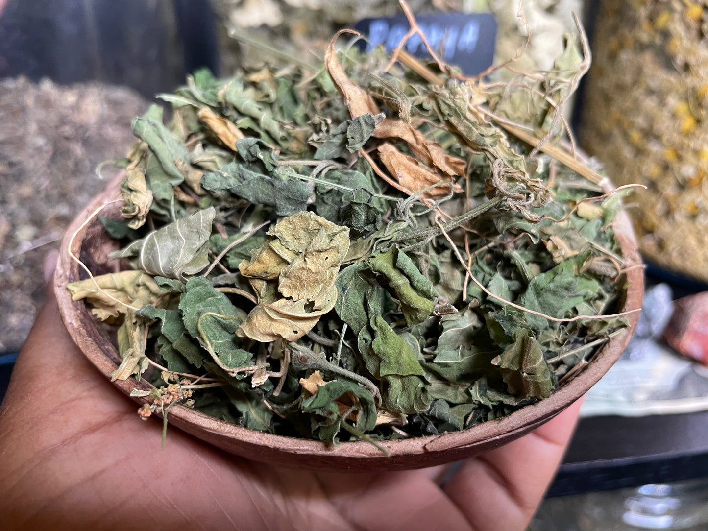 JAMAICAN DOG BLOOD Rivina Humilis FERTILITY HERB