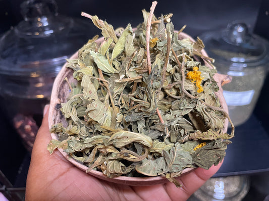 RAMGOAT DASHALONG ( HORNY GOAT WEED )