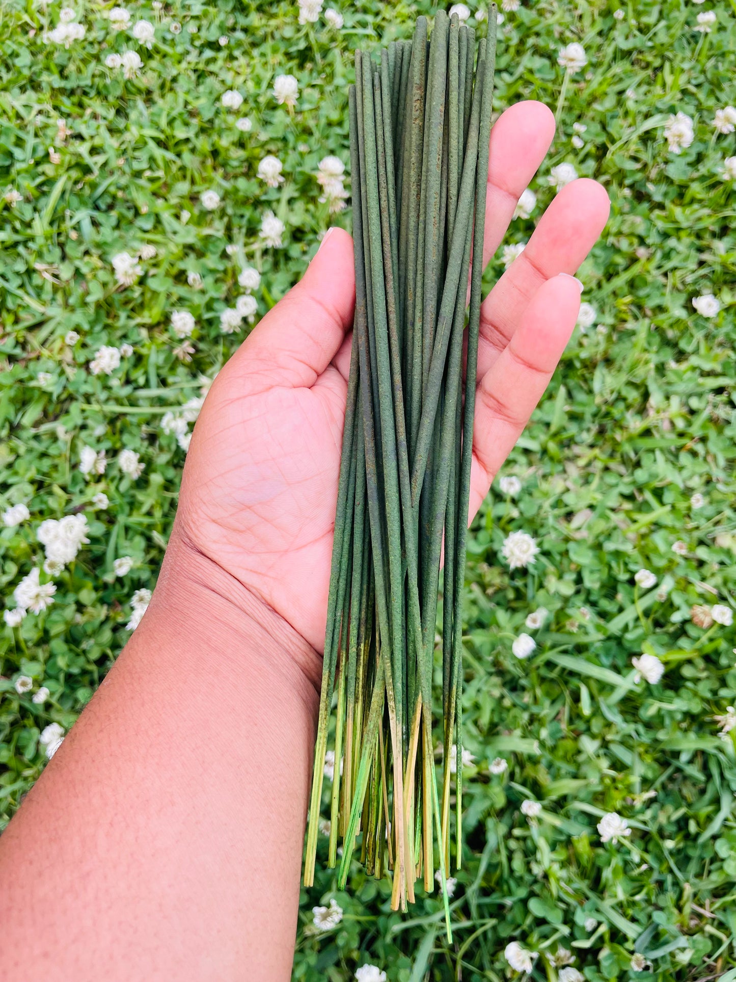 Frankincense Incense Sticks