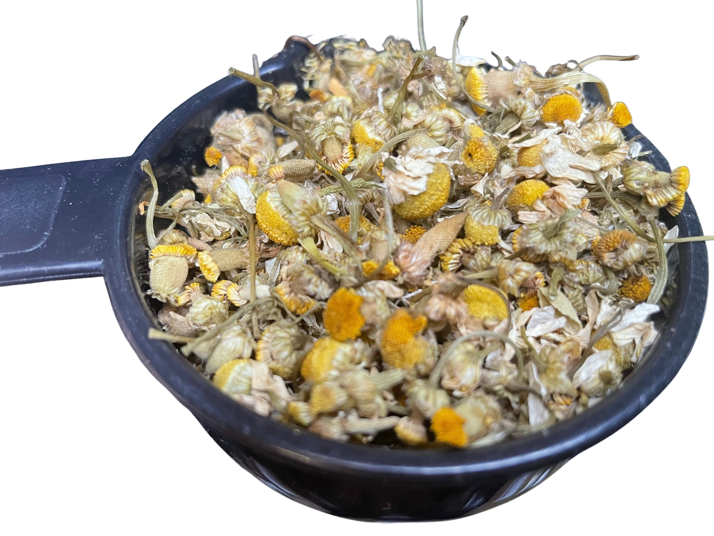 chamomile flowers