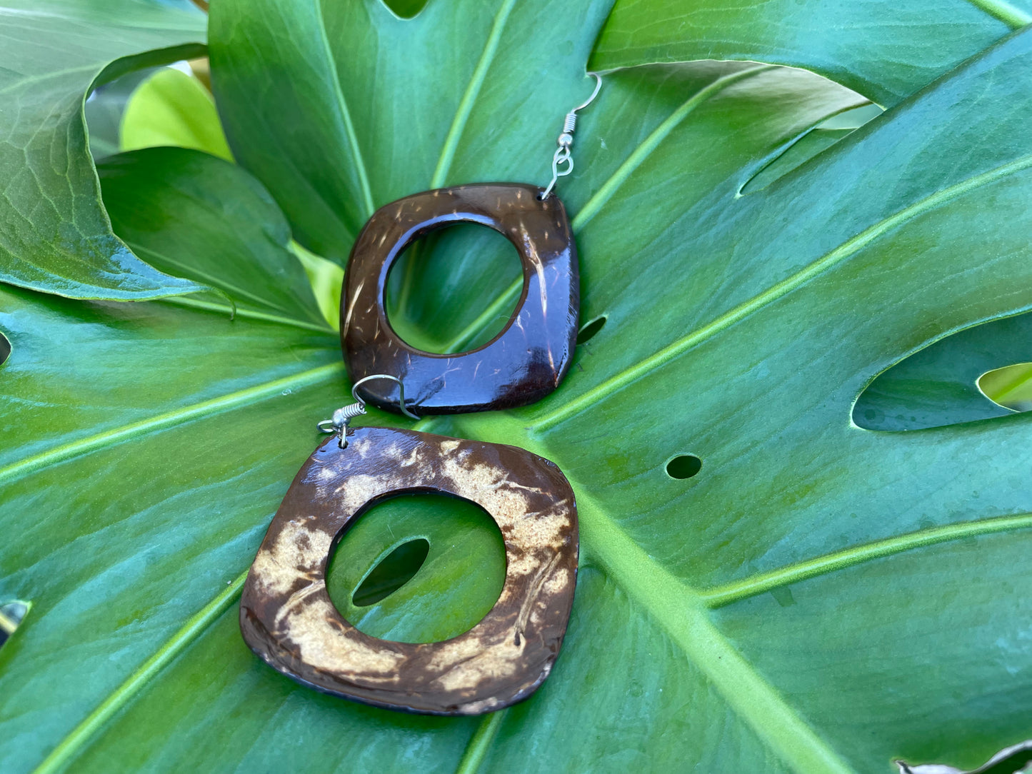 Coconut Shell Earrings