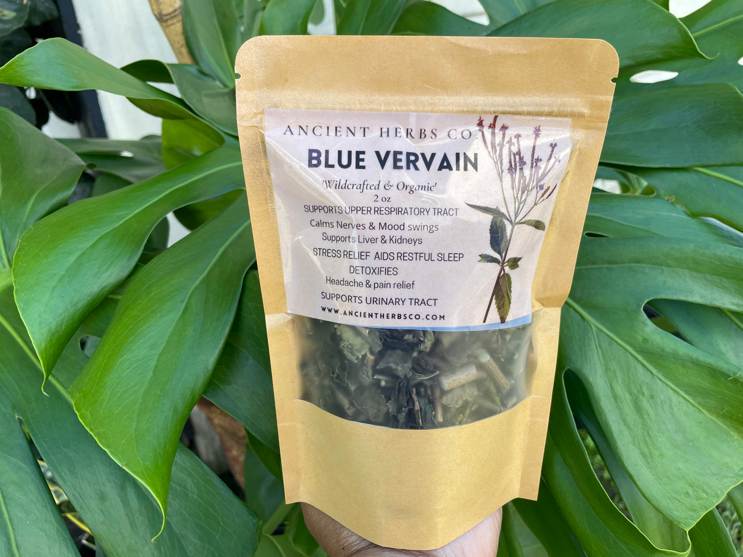 JAMAICAN Blue Vervain