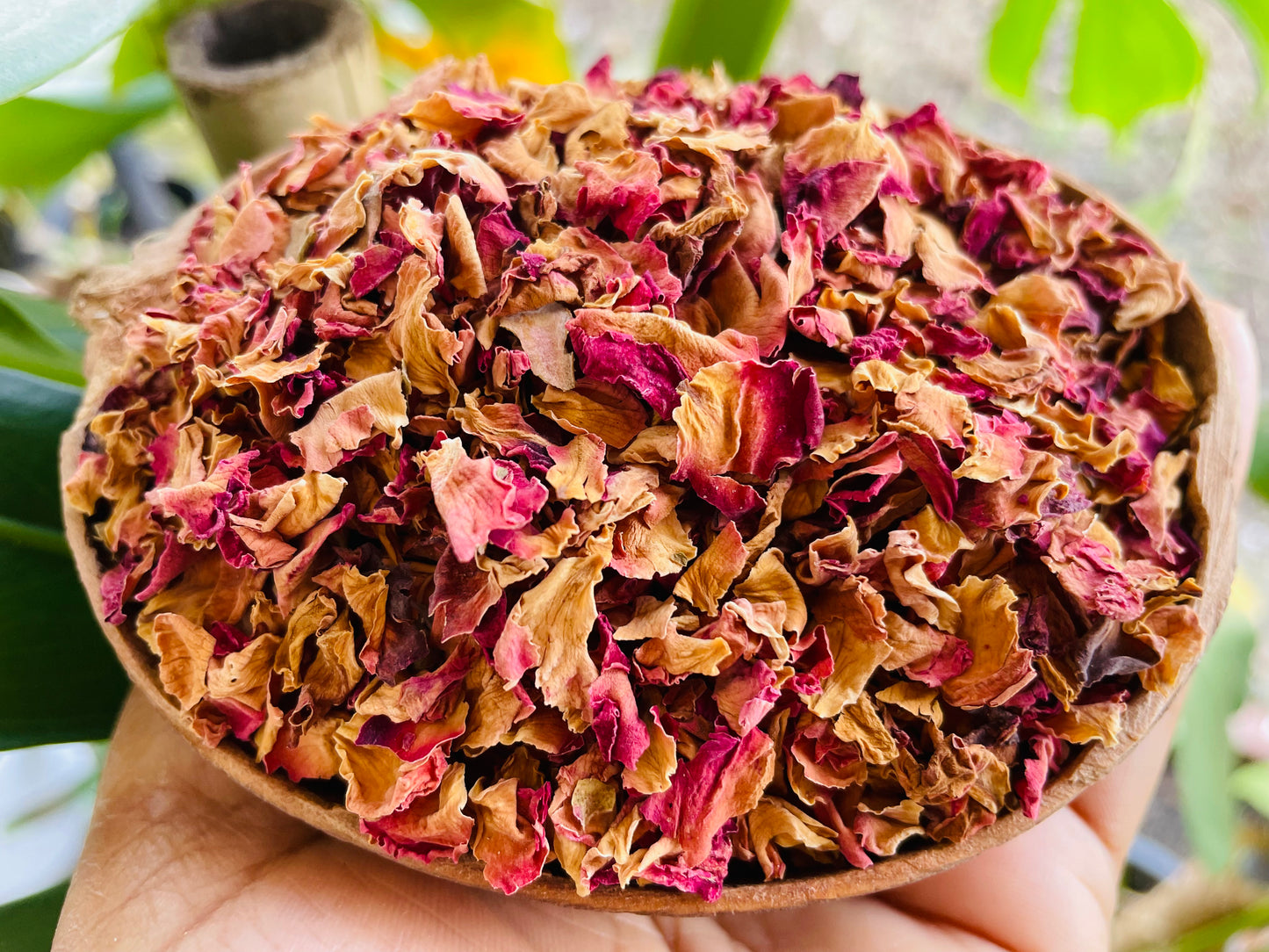 USDA Organic Red Rose flowers