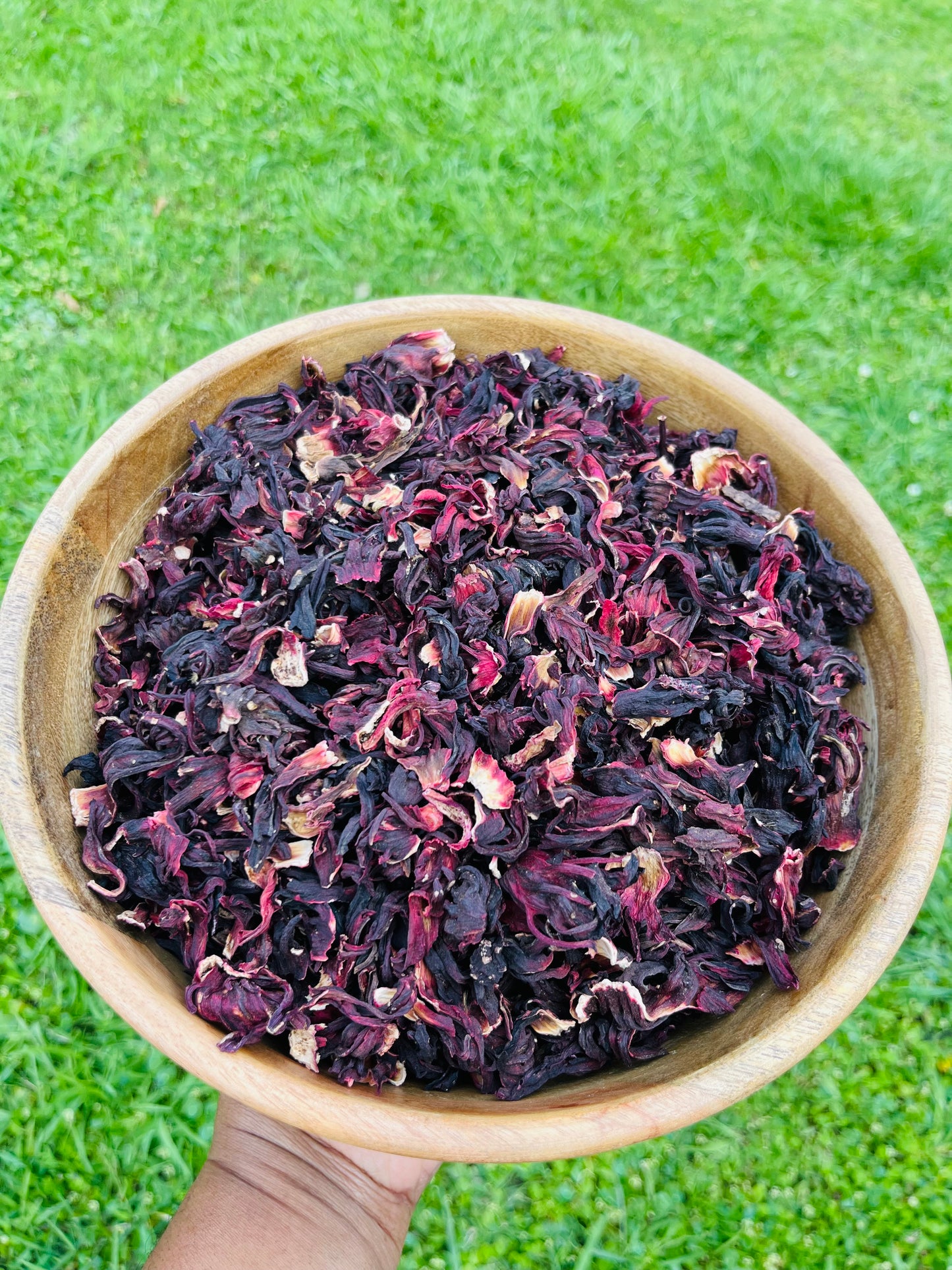 JAMAICA Grown SORREL