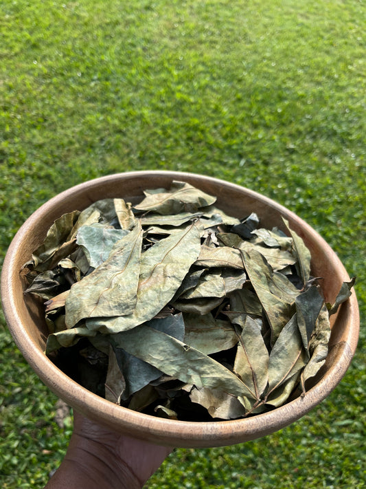 JAMAICA SOURSOP LEAVES (Organic)