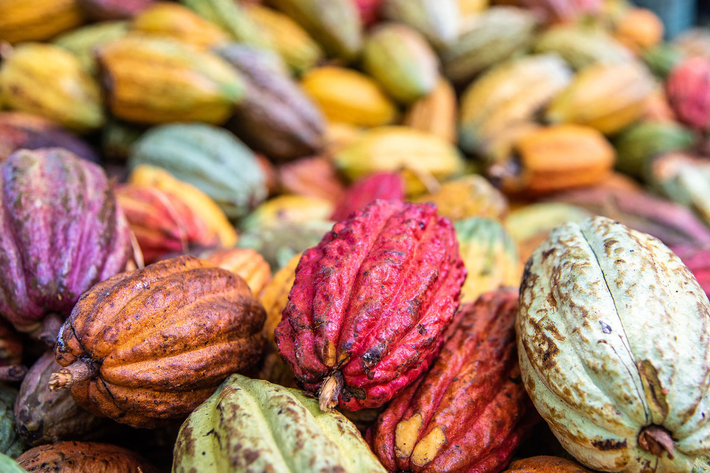 JAMAICA DRINKING CHOCOLATE COCOA BALLS