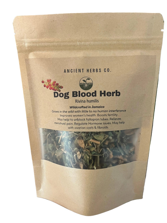 JAMAICAN DOG BLOOD Rivina Humilis  FERTILITY HERB
