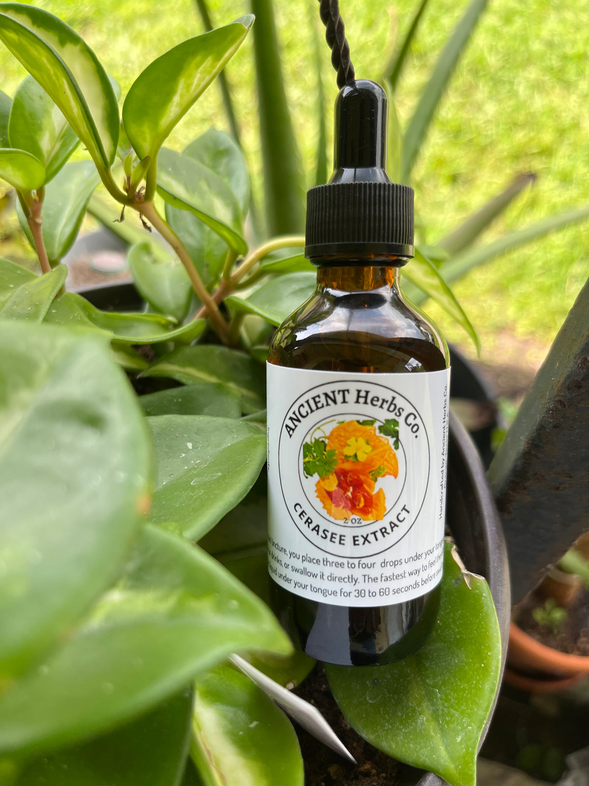 Cerasee Tincture