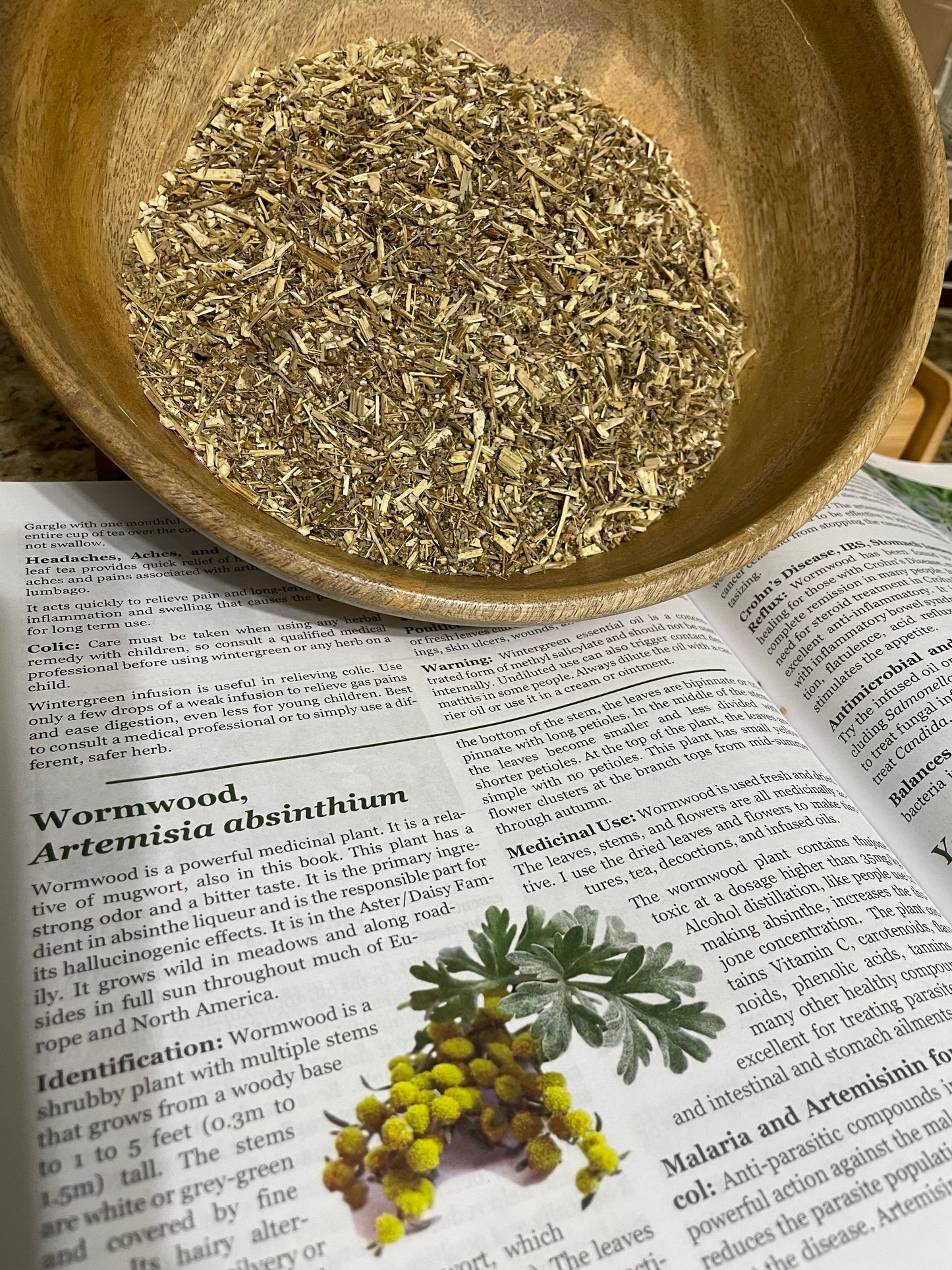 USDA Organic Wormwood