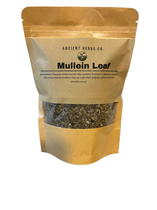 Mullein leaf