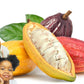 JAMAICA DRINKING CHOCOLATE COCOA BALLS