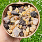 CLEANSE & PURIFY - Frankincense & Myrrh Granular Resin & Charcoal