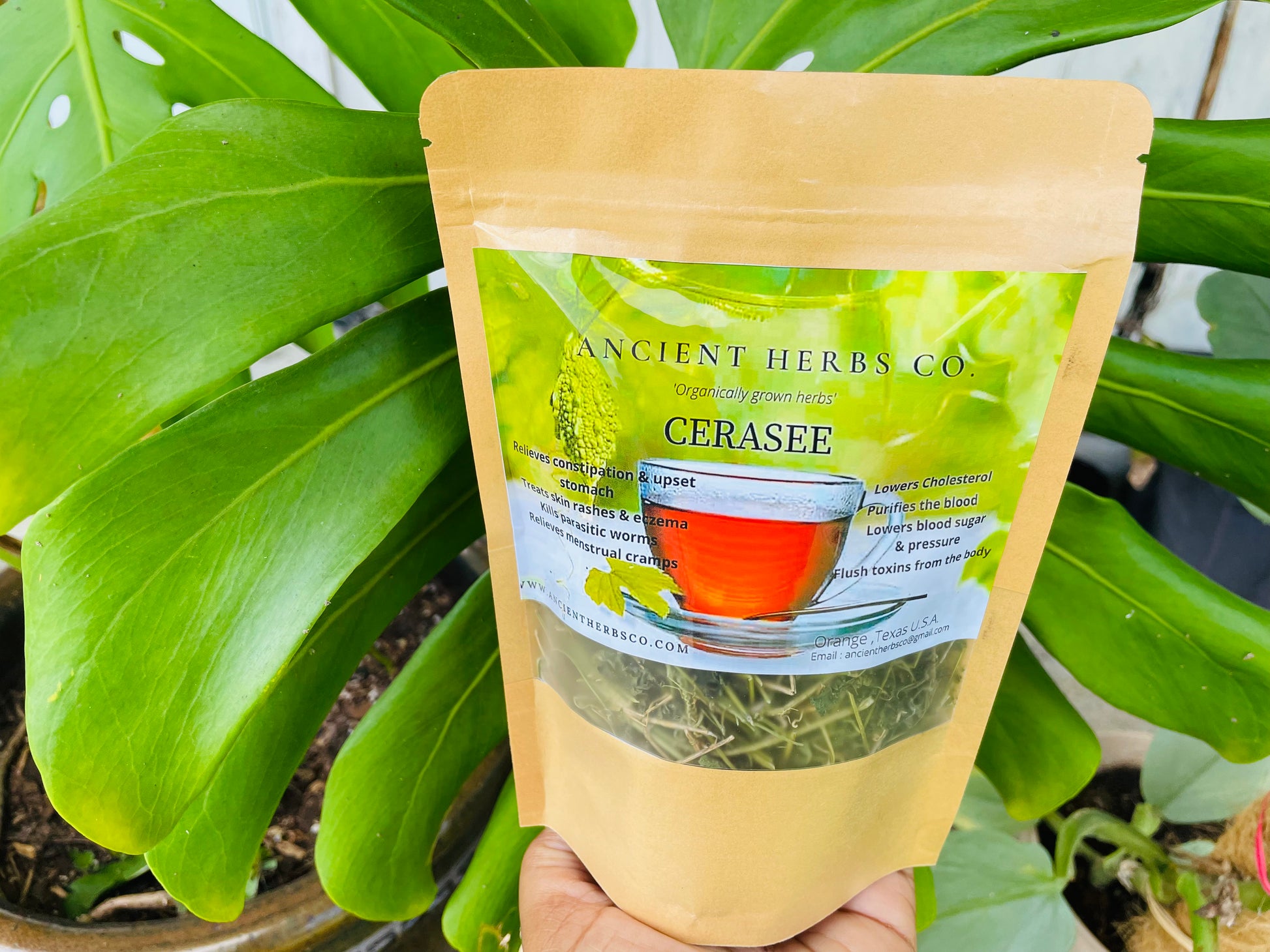 Cerasee Powder Wildcrafted JAMAICAN CERASEE Herb – Ancient Herbs Co