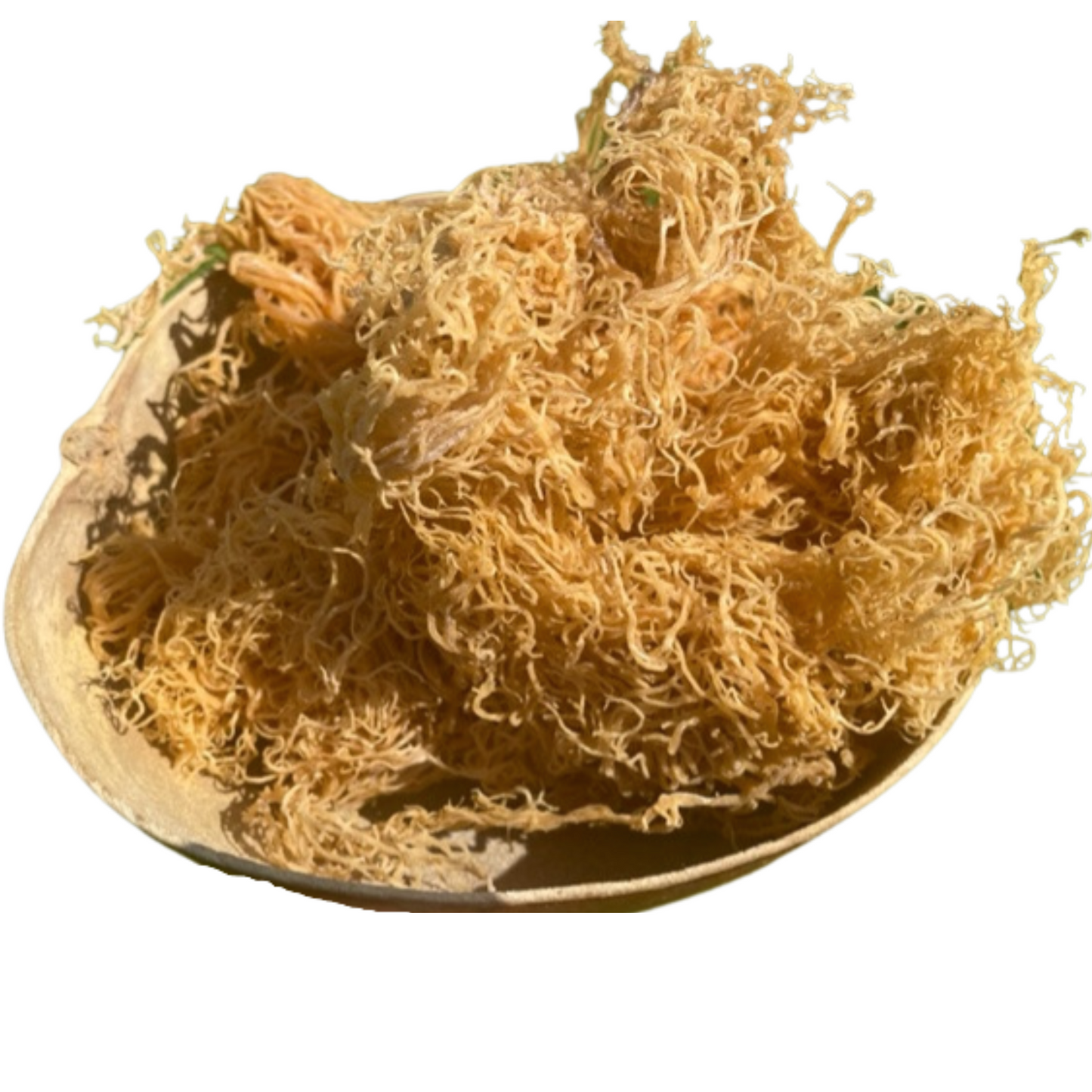 Wildcrafted sea moss