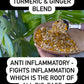 Turmeric & Ginger Root Tea  4 oz