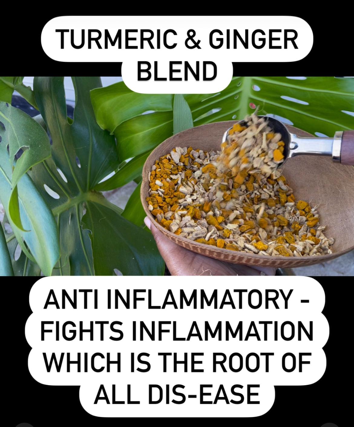 Turmeric & Ginger Root Tea  4 oz