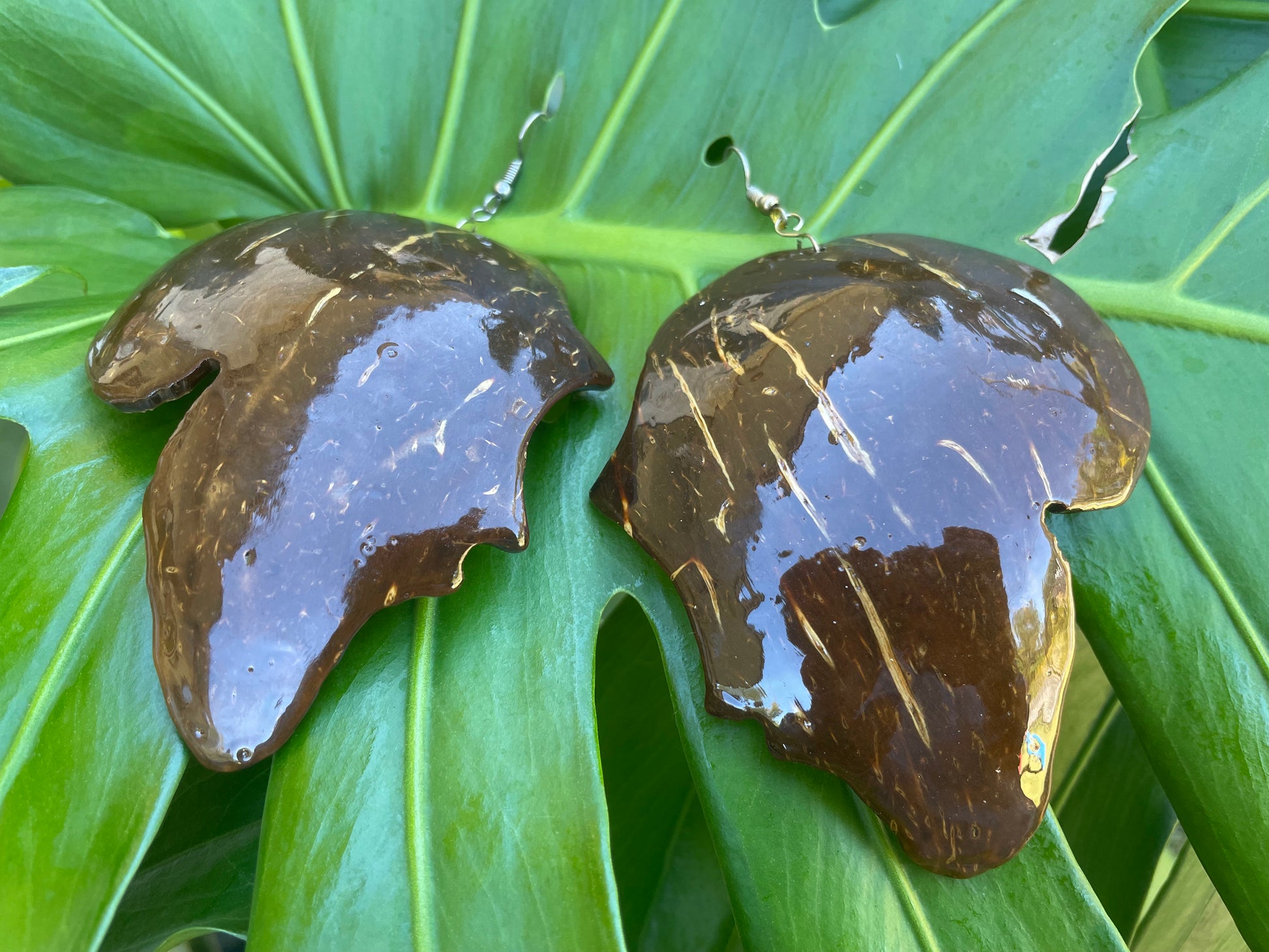 coconut shell earrings
