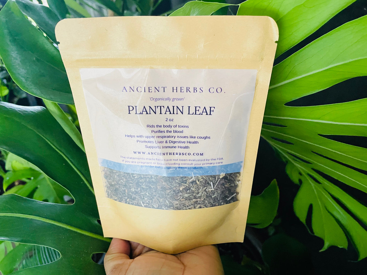 Plantain Leaf 2 oz - Organic