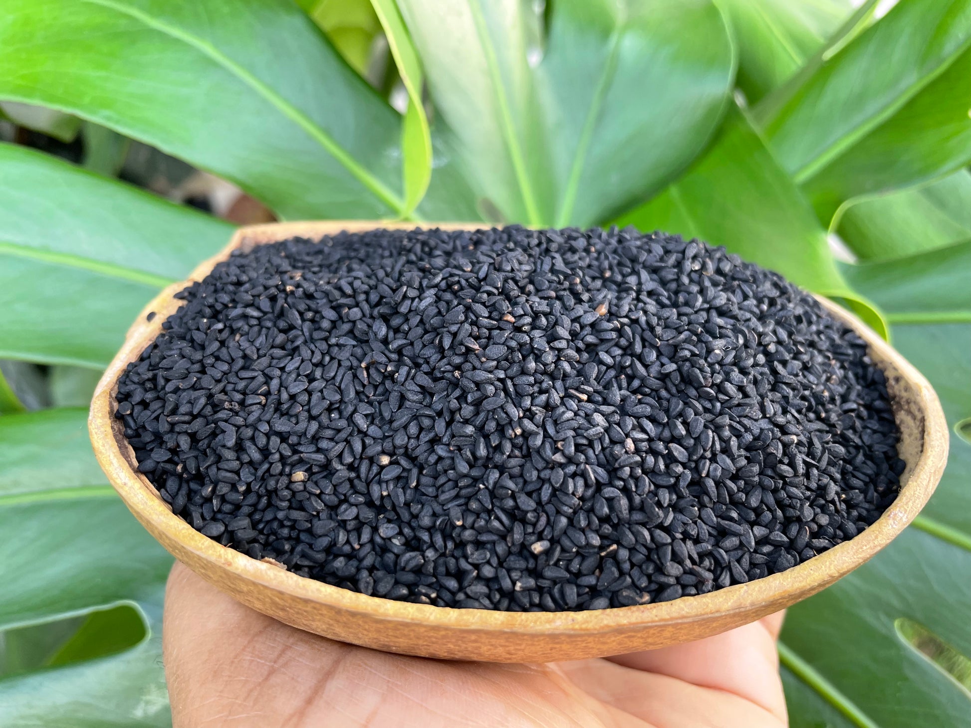 Black Cumin seeds