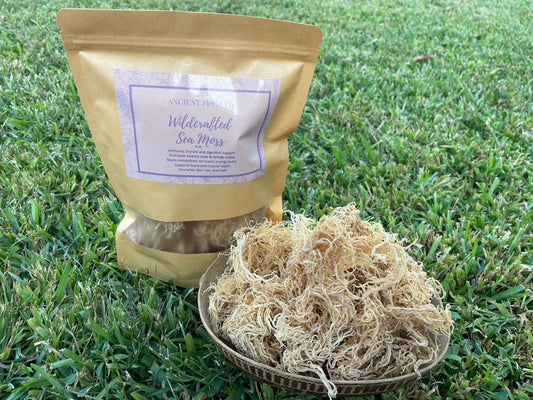 Sea Moss - St Lucia Gold (Wildcrafted)