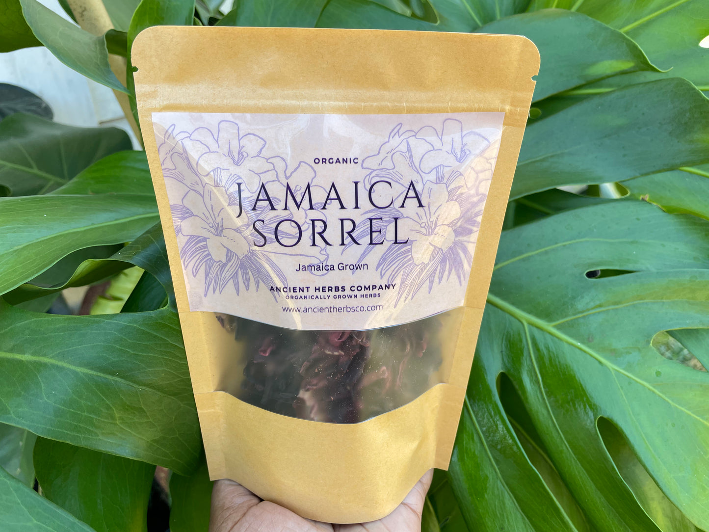 JAMAICA SORREL ( HIBISCUS FLOWER )