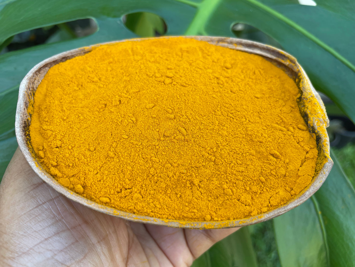 Organic Turmeric root  powder