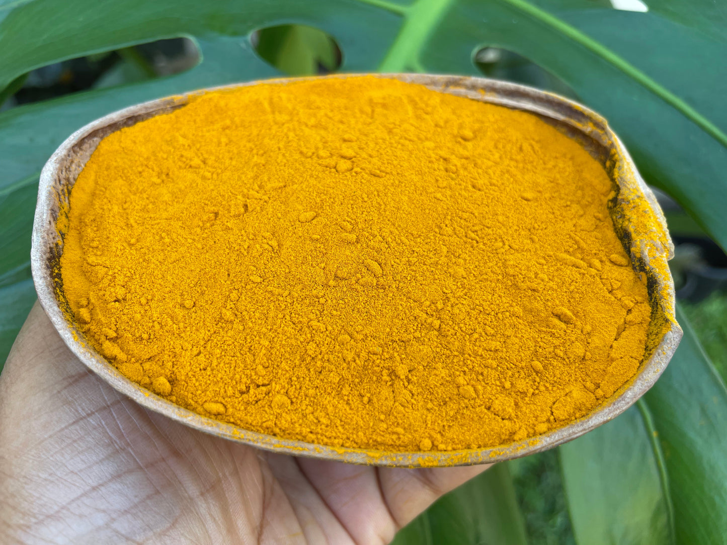 Turmeric root supplements (90)