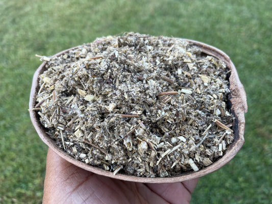 Mugwort