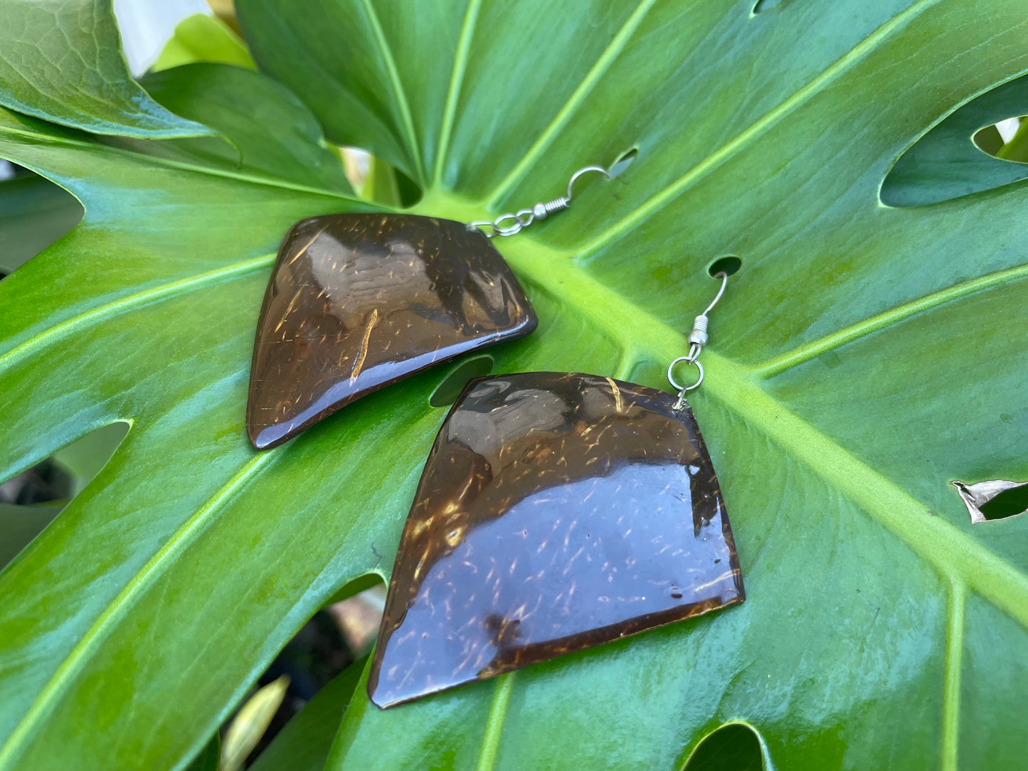 Diamond cut Coconut Shell Earrings