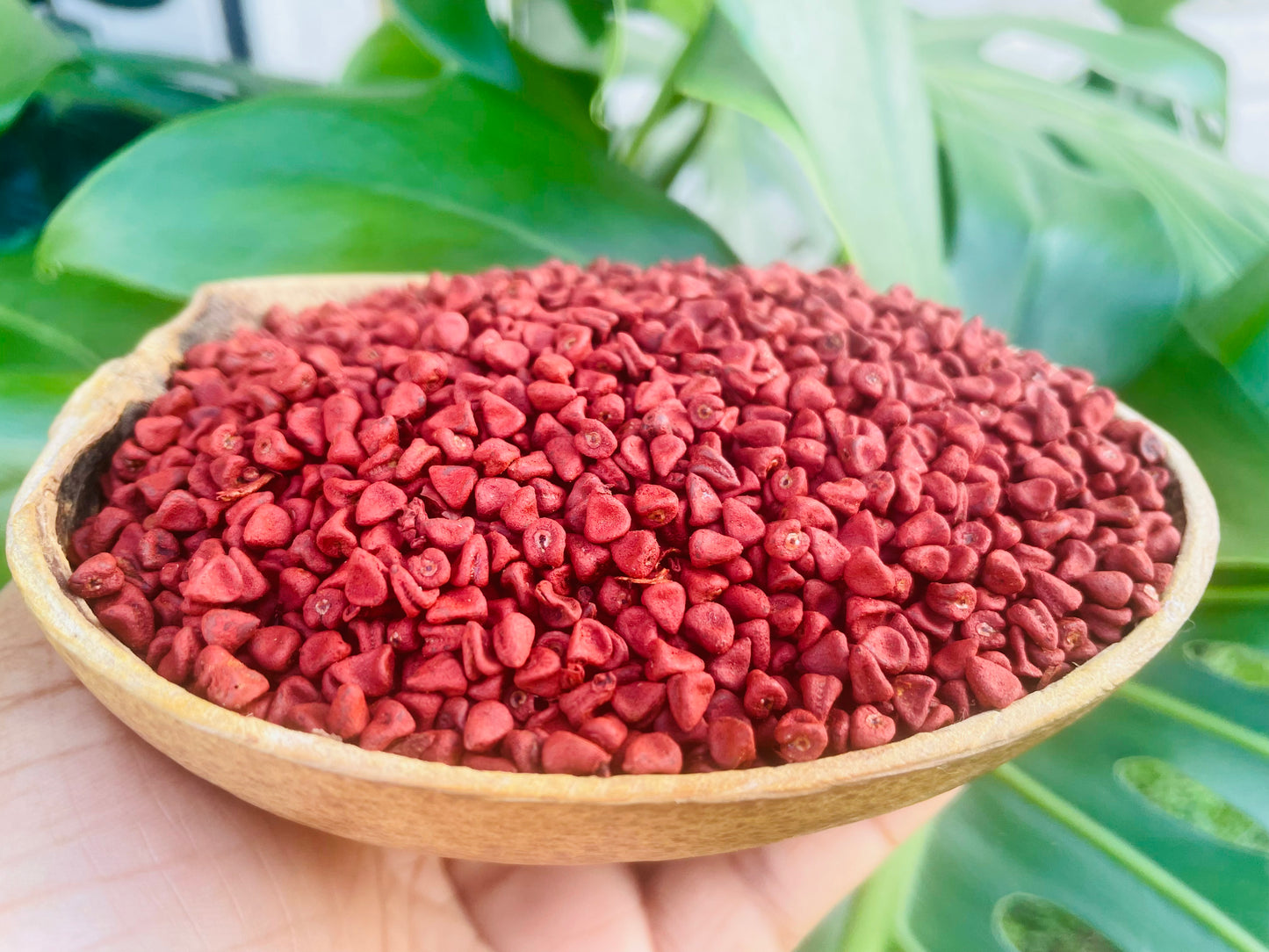 Annatto seeds