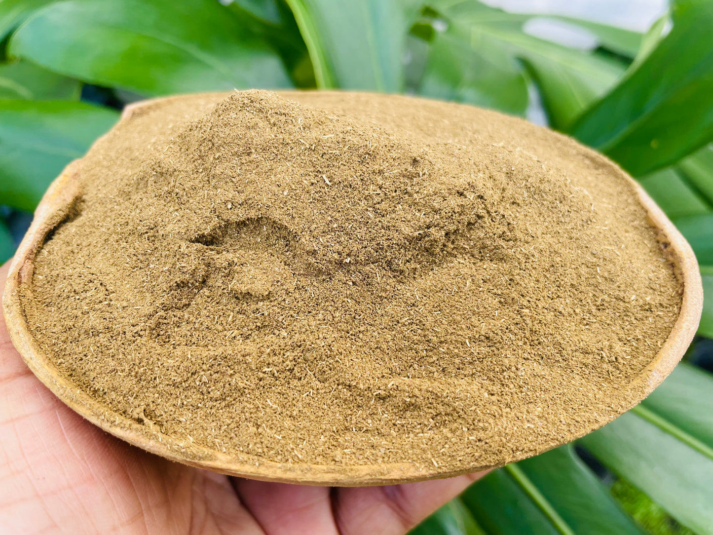 Organic Neem Leaf powder